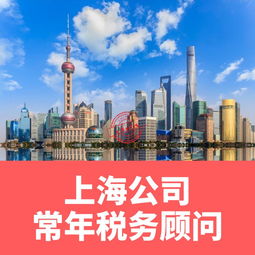 上海公司常年税务顾问 专为企业提供财税顾问服务